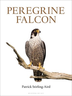 cover image of Peregrine Falcon